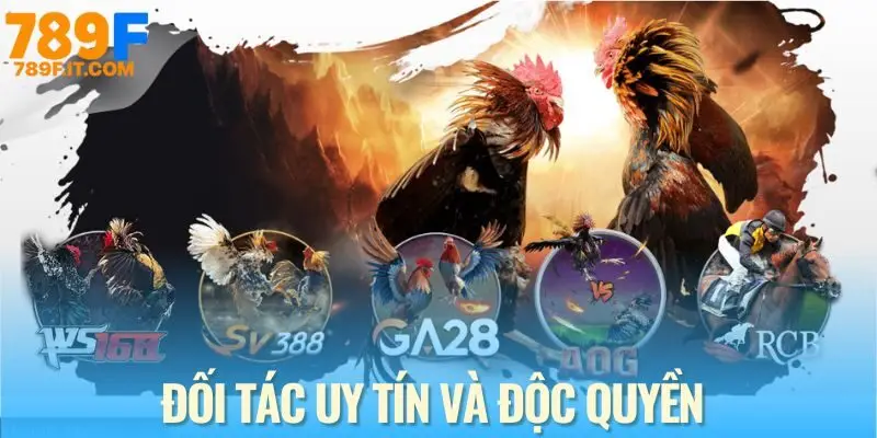 Đối tác uy tín của sảnh đá gà 789F