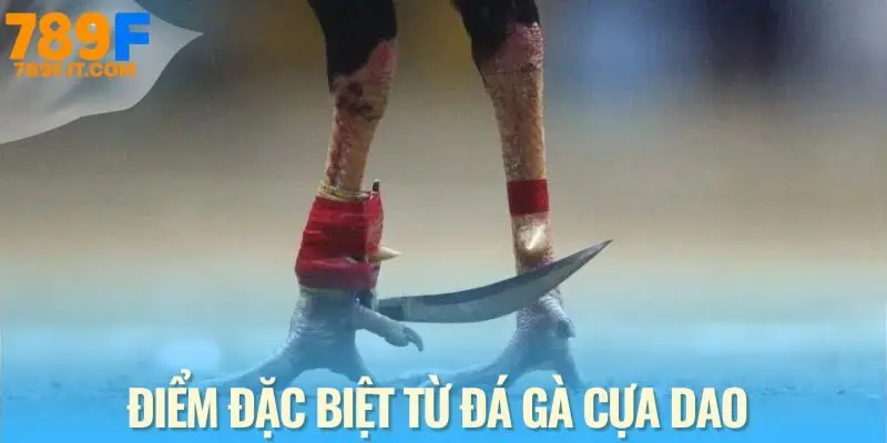 Đá Gà Cựa Dao - Môn Giải Trí Không Thể Thiếu Tại Mọi Nhà Cái Ưu điểm riêng tạo điểm nhấn cho sảnh đá gà cựa dao